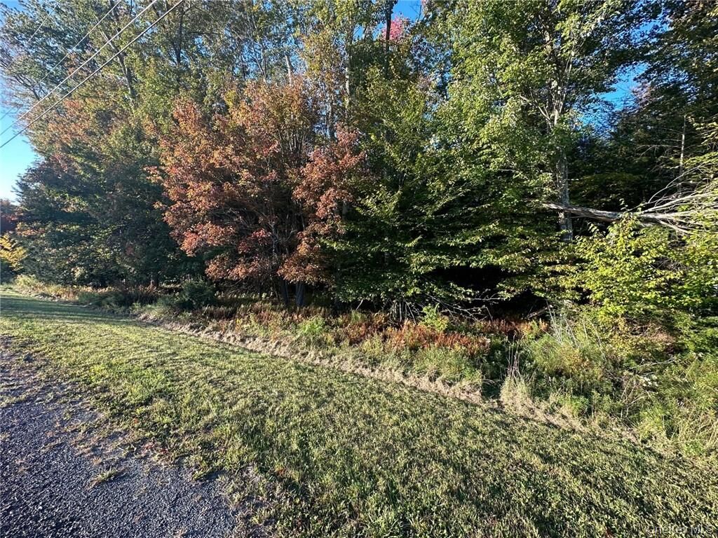 Property Photo: Ulster Heights Road NY 12733