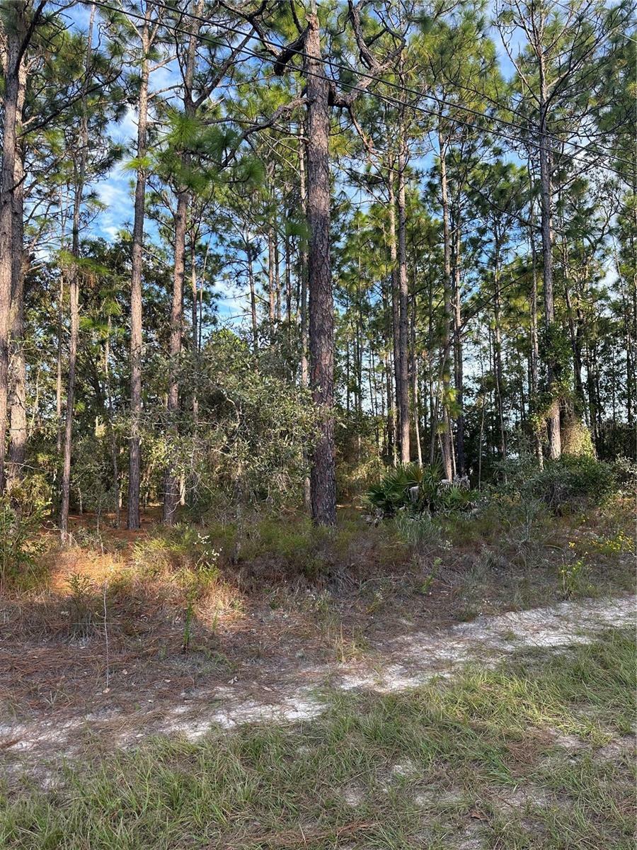 Property Photo:  7811 N Vivian Way  FL 34434 