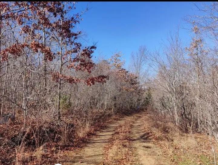 0 County Road 258  Bunker MO 63629 photo