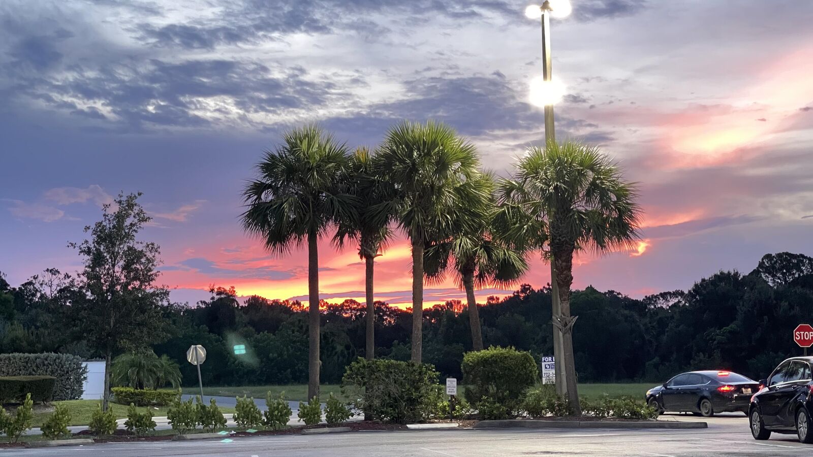 Property Photo:  6402 Alemendra Street  FL 34951 