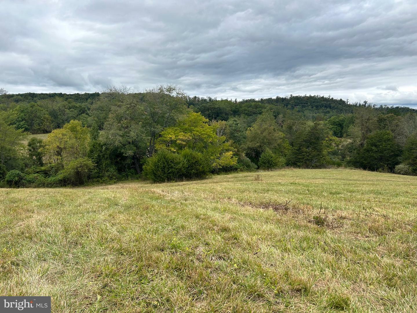 Property Photo:  Lot 3C-2 Moses Place  VA 22701 