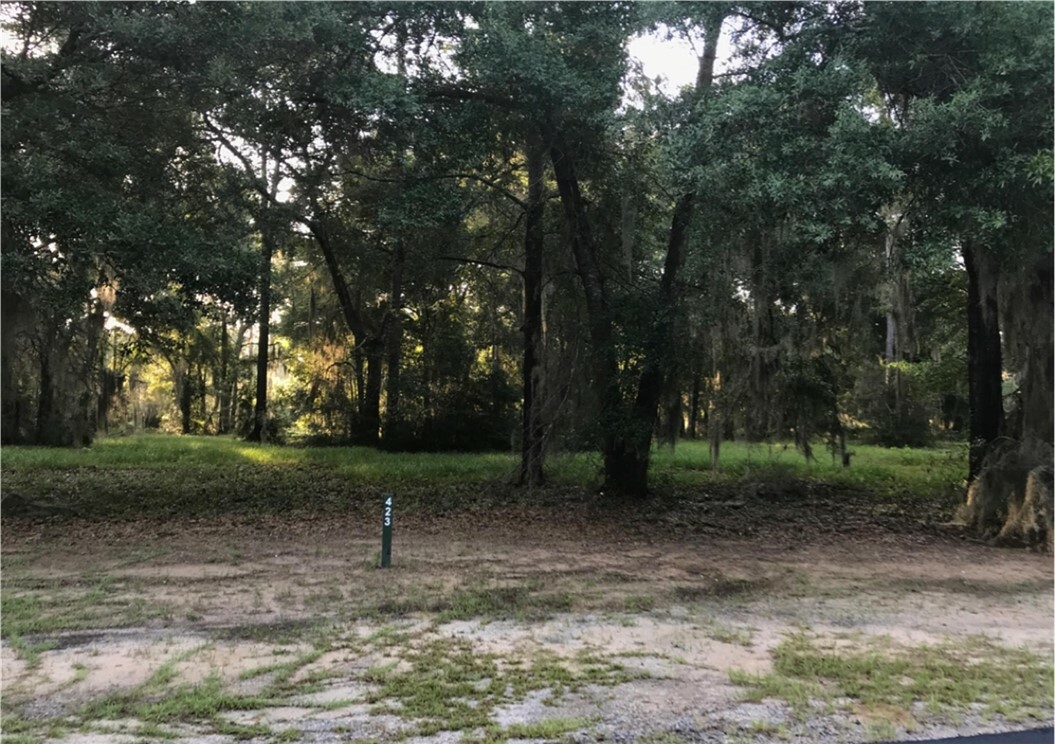 Property Photo:  Lot 423 Coopers Landing Drive  GA 31331 