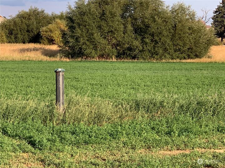 6 X Watson Road  Ellensburg WA 98926 photo