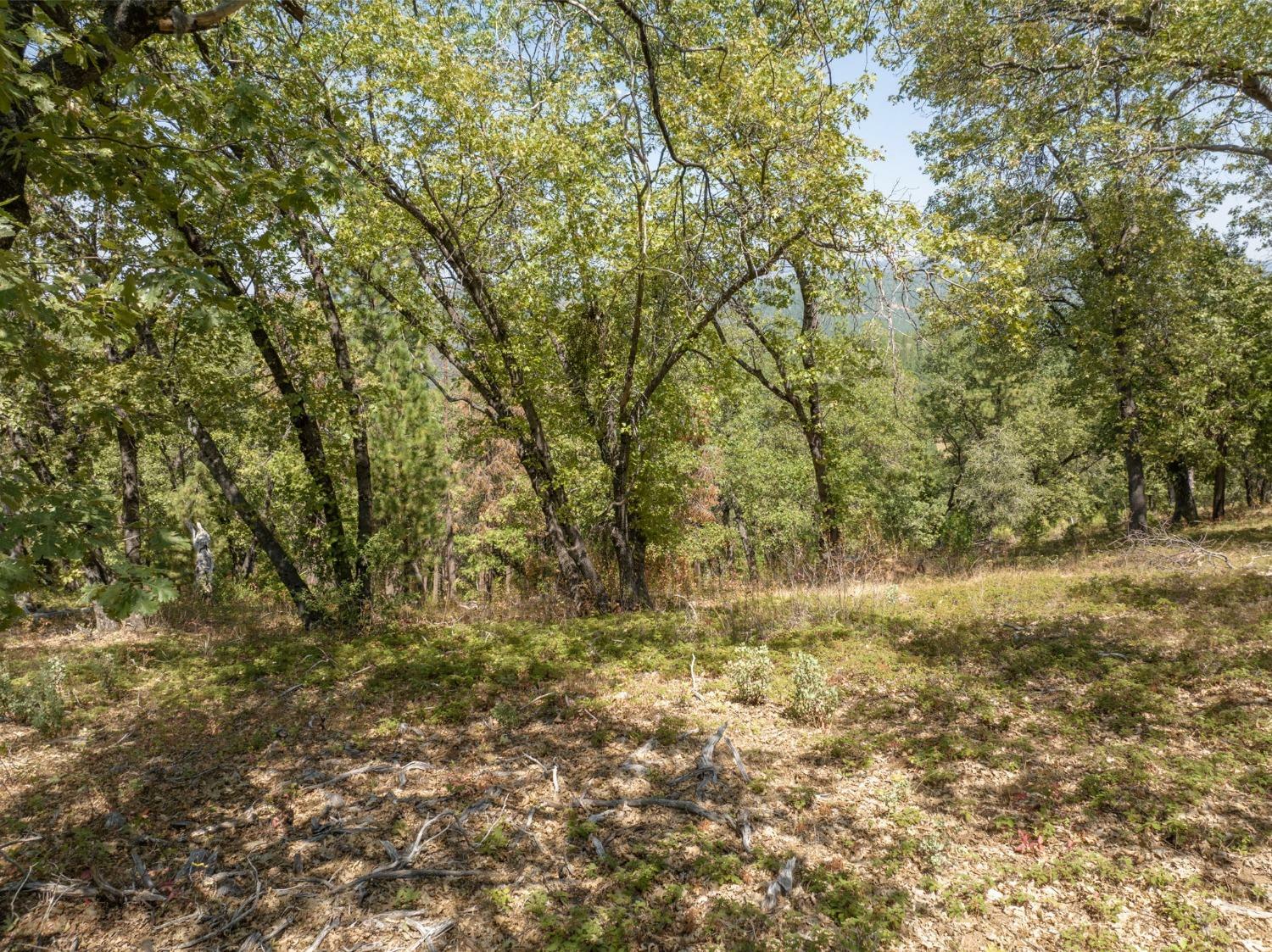 Property Photo:  0 Forest Meadows Road  CA 95247 