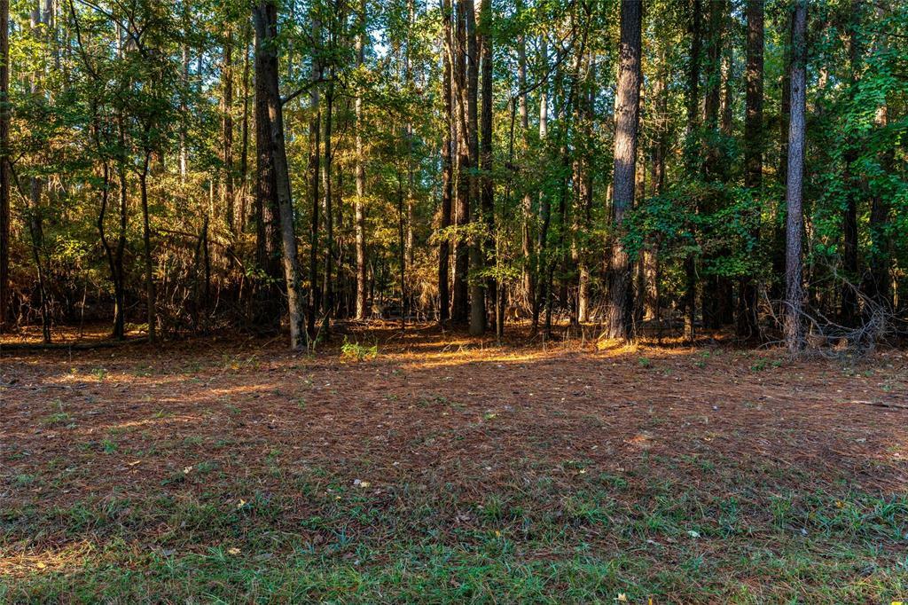 Property Photo: Tbd Wildwood Trail TX 75457