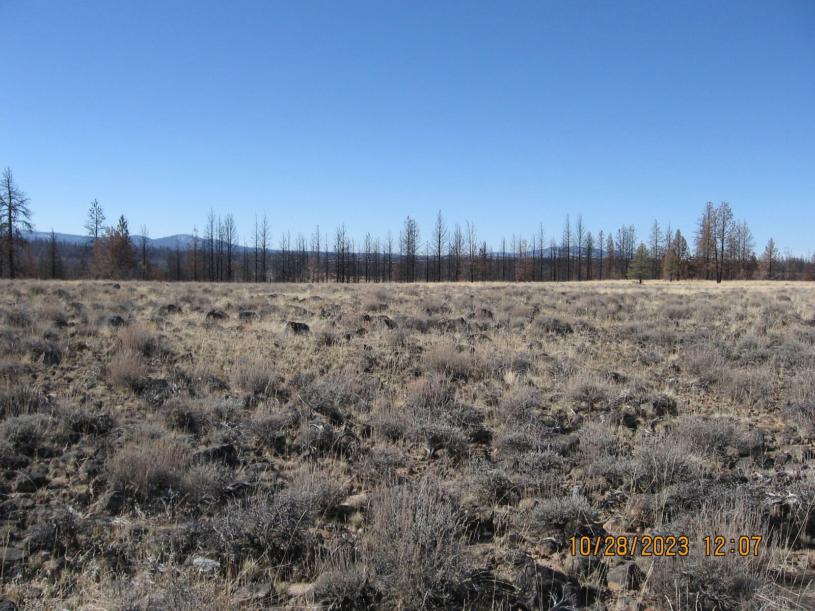 Property Photo:  Lot 3N White Fir Way  OR 97622 