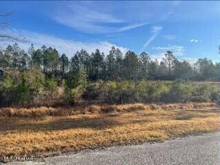 Bear Ridge Road  Vancleave MS 39565 photo