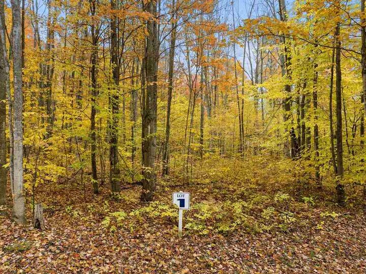 10 Fawn 1  Harbor Springs MI 49740 photo