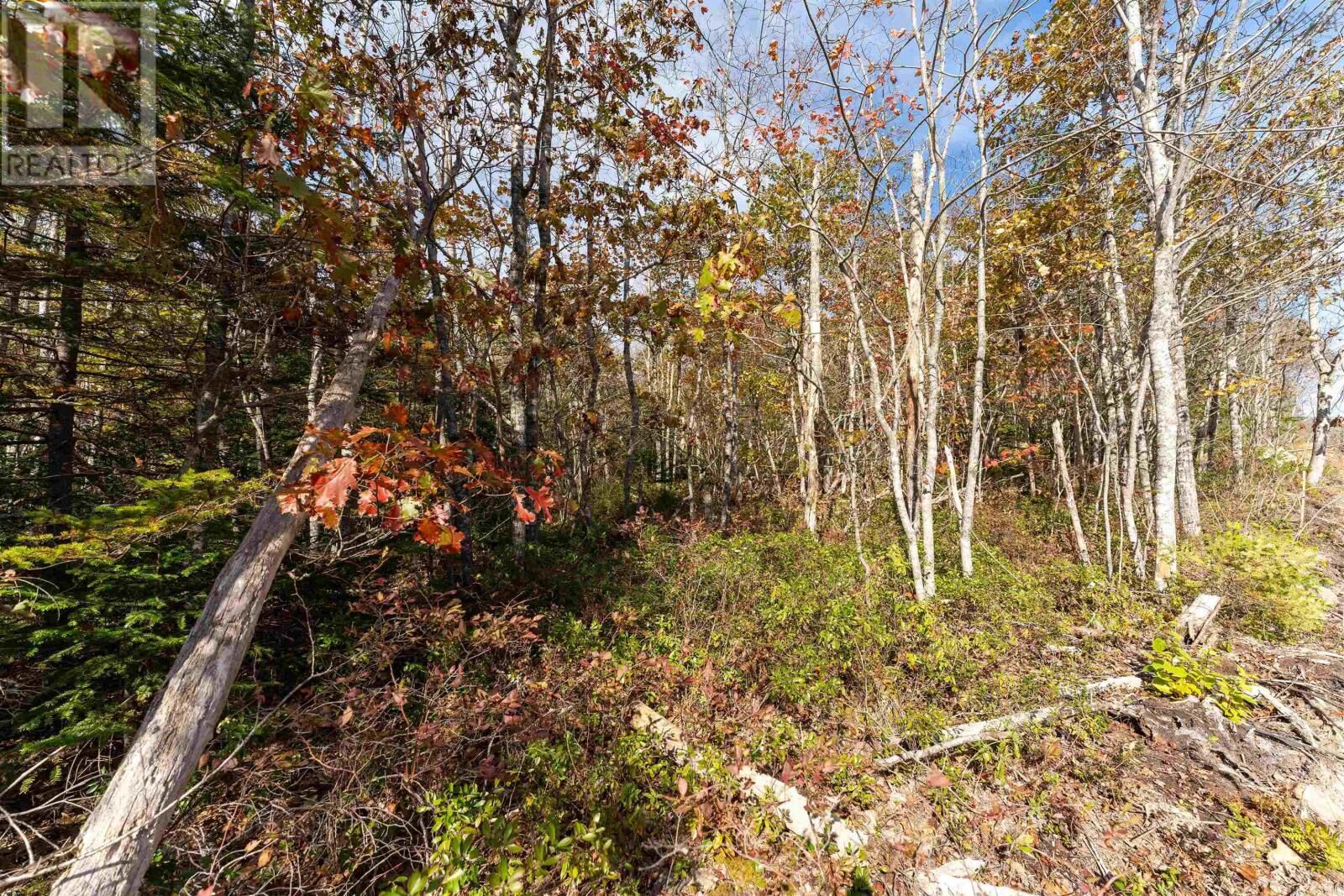 Property Photo:  65 Morton Drive  NS B0T 1K0 