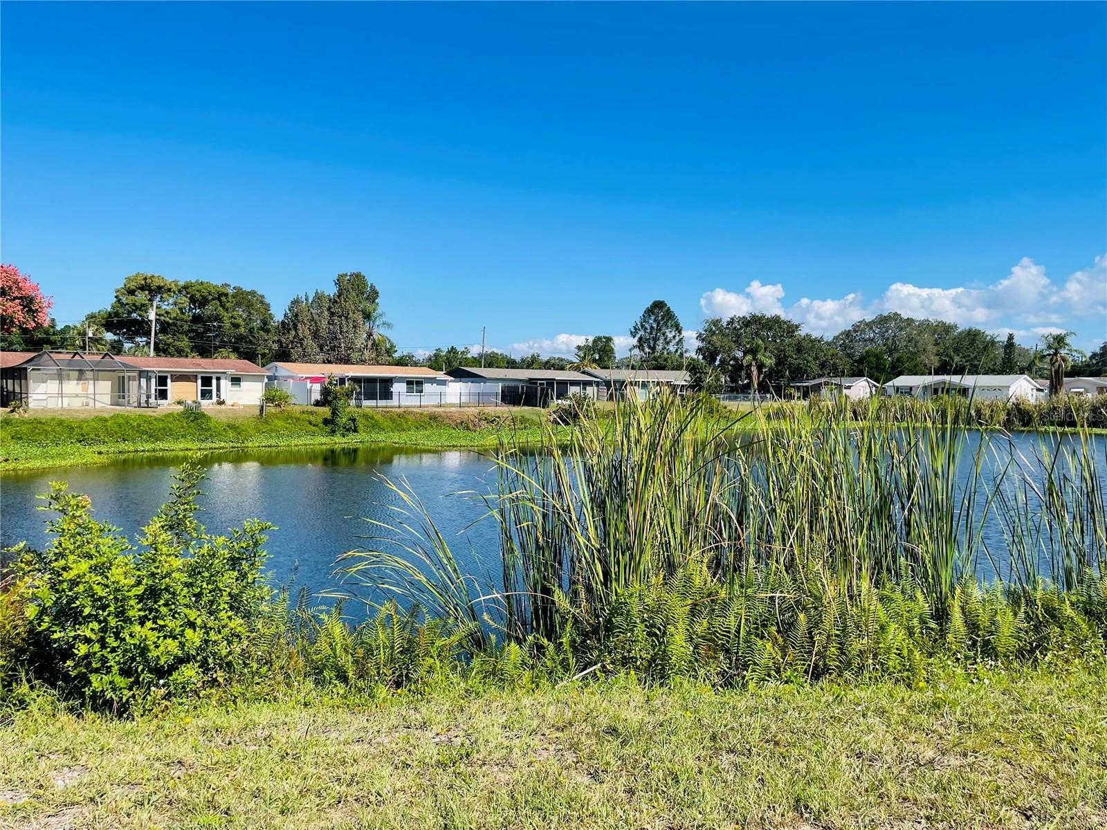 Property Photo:  1603 Plum Tree Road  FL 34690 