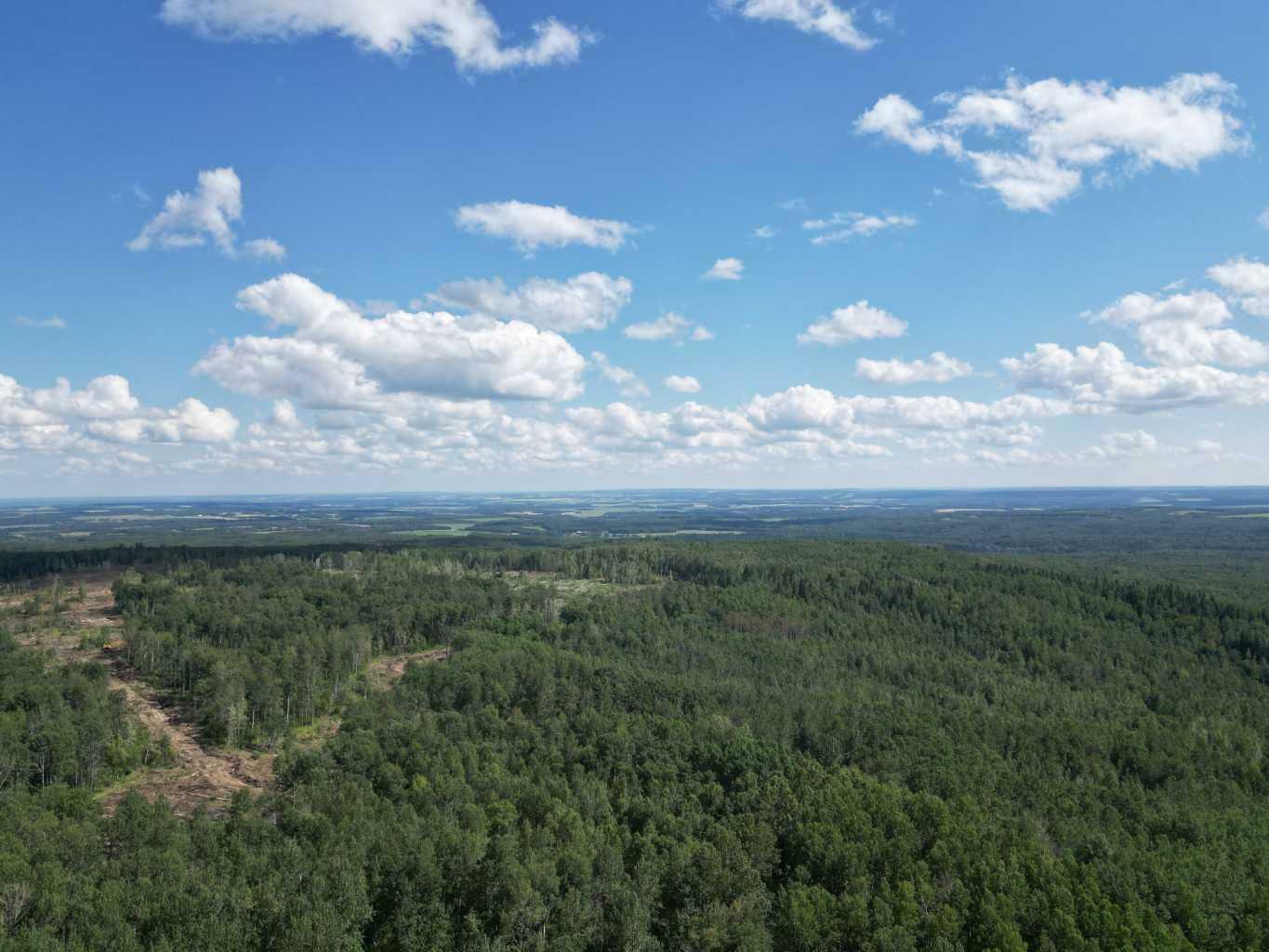 Property Photo:  NE&Amp SE-31-57-10-W5 Township Road 580 Land  AB T0E 1N0 