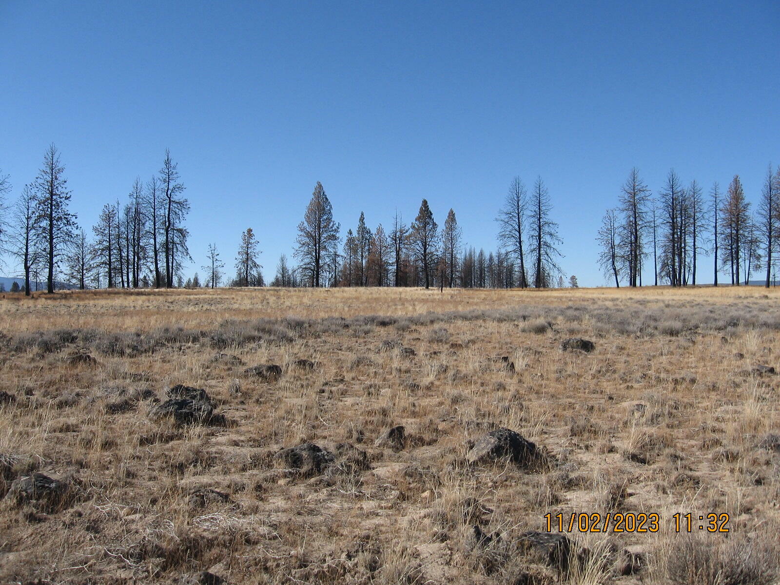 Property Photo:  Lot 14N White Oak Lane  OR 97622 