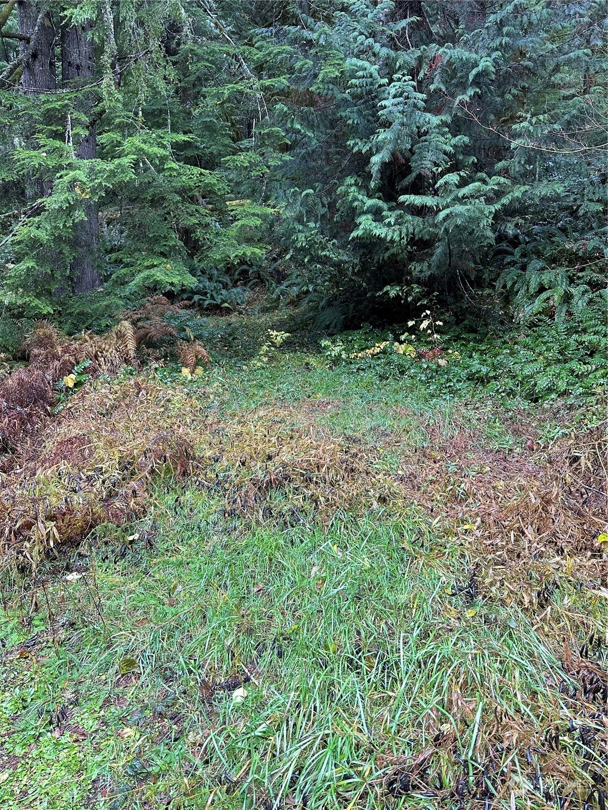 Property Photo:  38219 State Route 706 E  WA 98304 