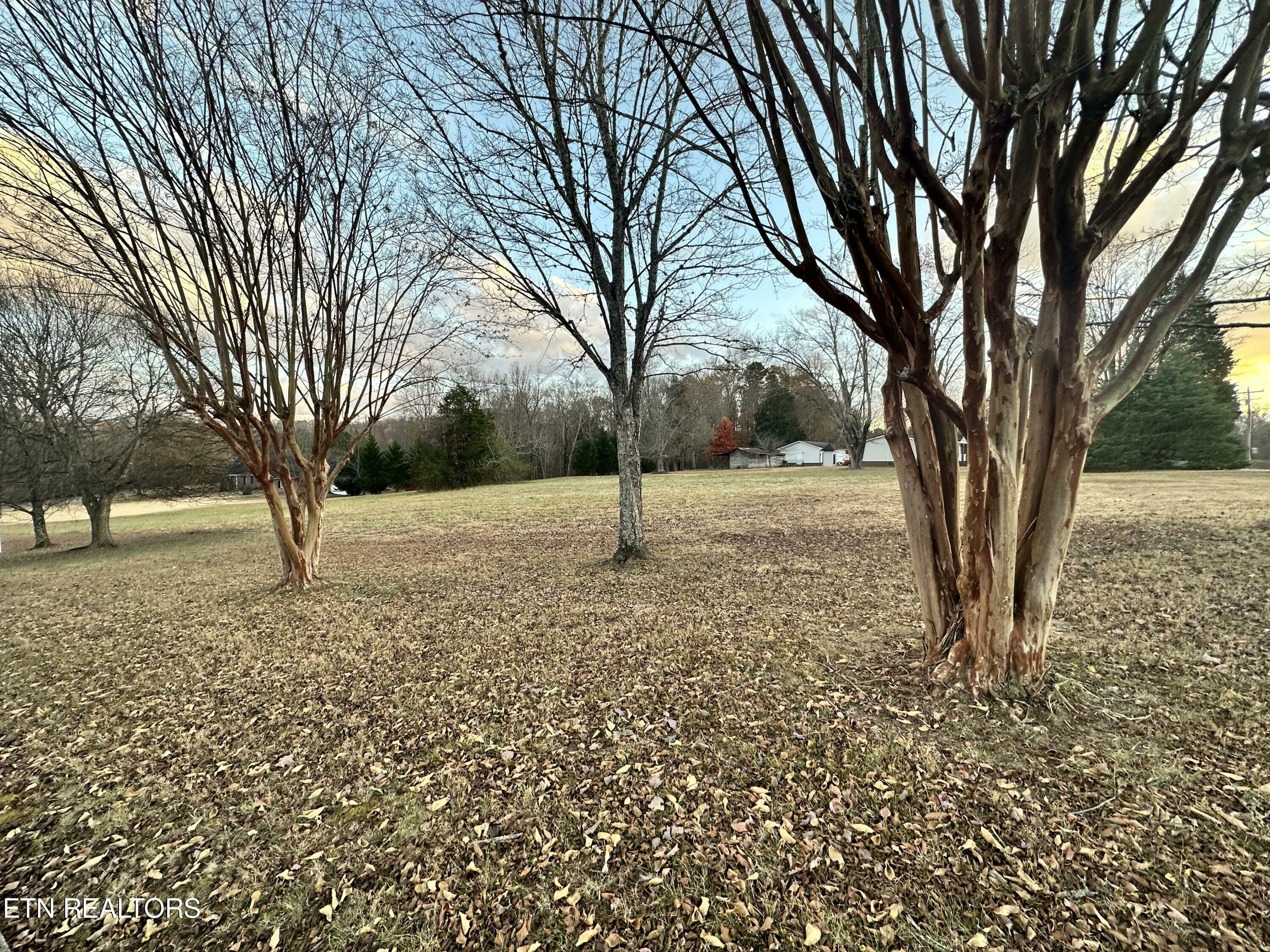 Property Photo:  Swan Pond Circle  TN 37748 