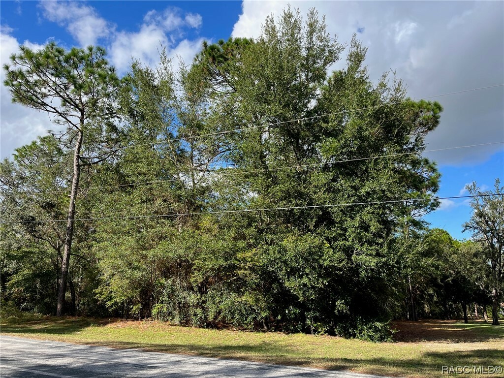 Property Photo:  923 W National Street  FL 34442 