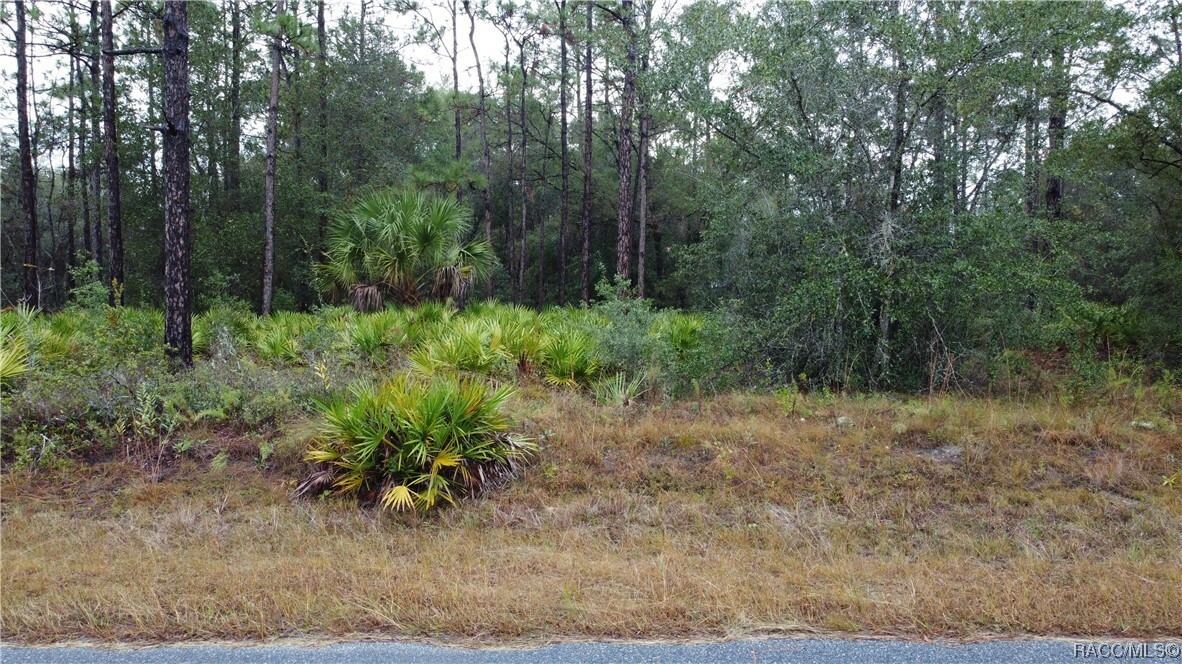 Property Photo:  11849 W Acacia Drive  FL 34428 