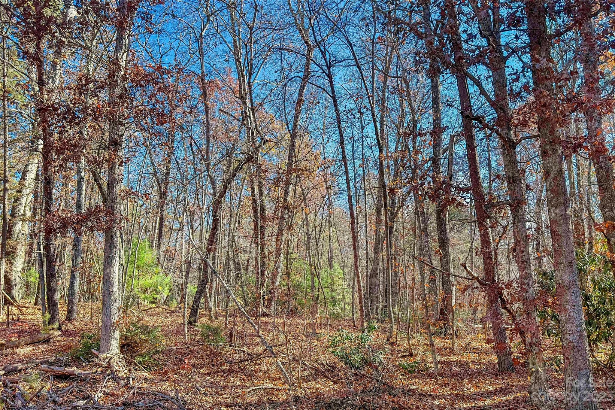 Property Photo: 000 Westwood Drive NC 28752