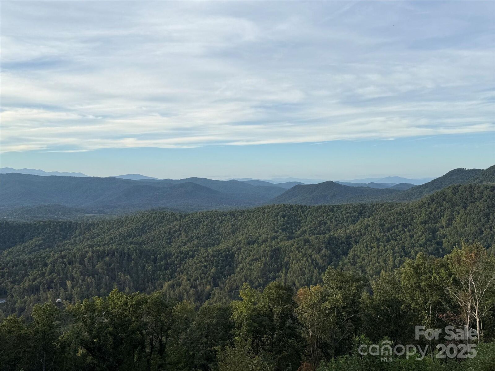 Property Photo: 0 Shoal Ridge 3 NC 28167
