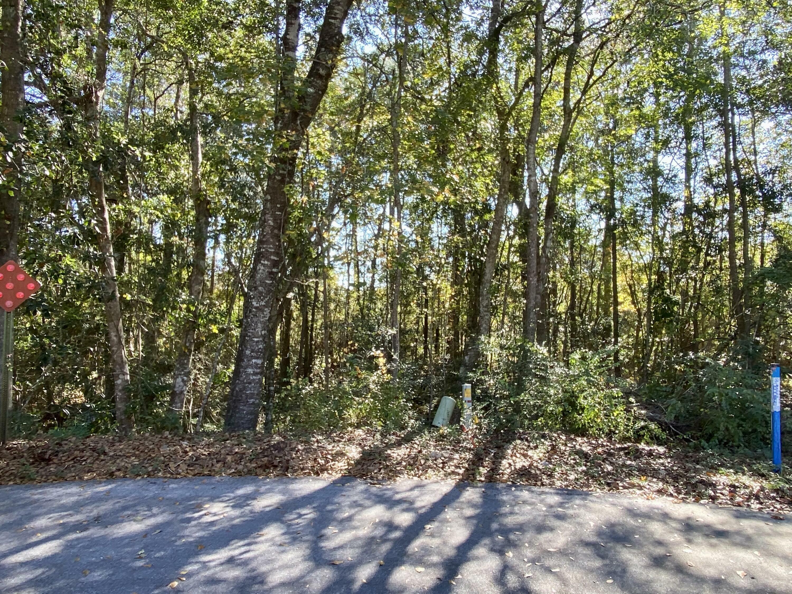 Property Photo: Lot 66 Par Court FL 32536