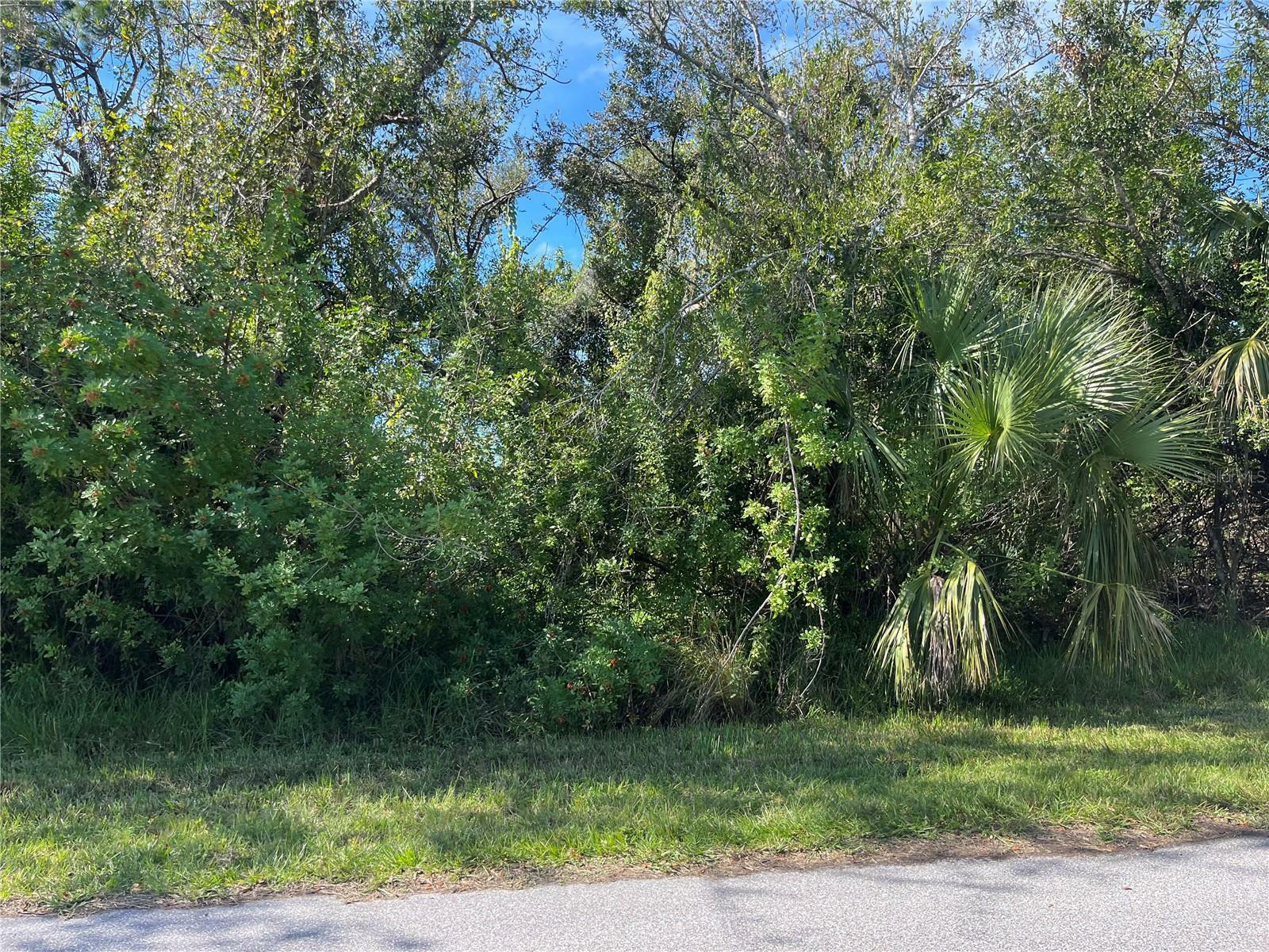 Property Photo:  250 Grenada Street  FL 33948 