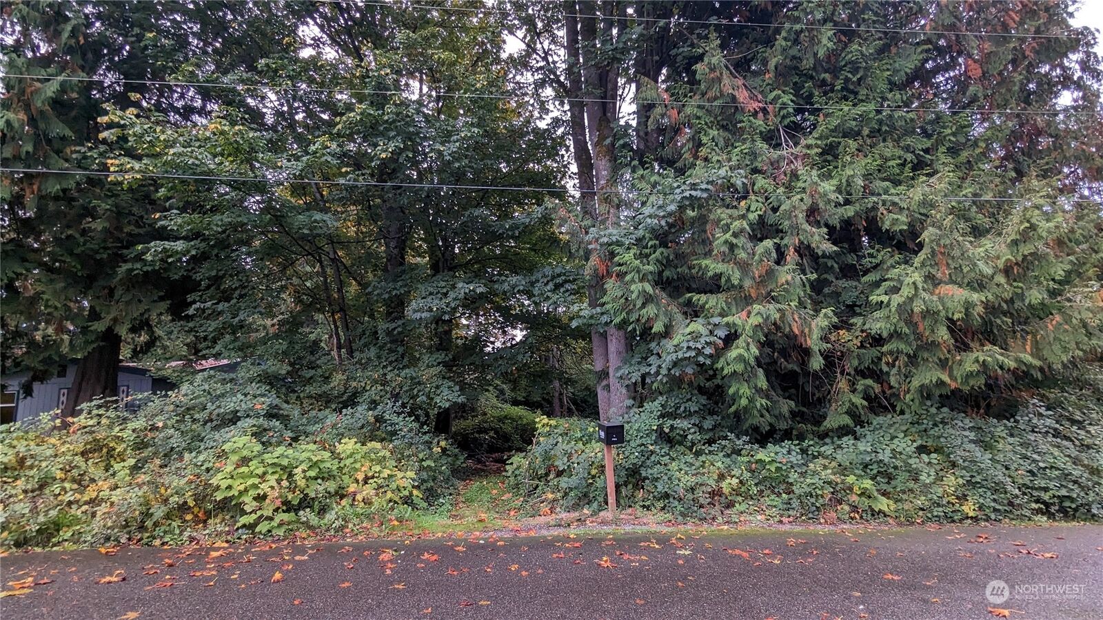 Property Photo:  209 Xx SE 270th St  WA 98042 