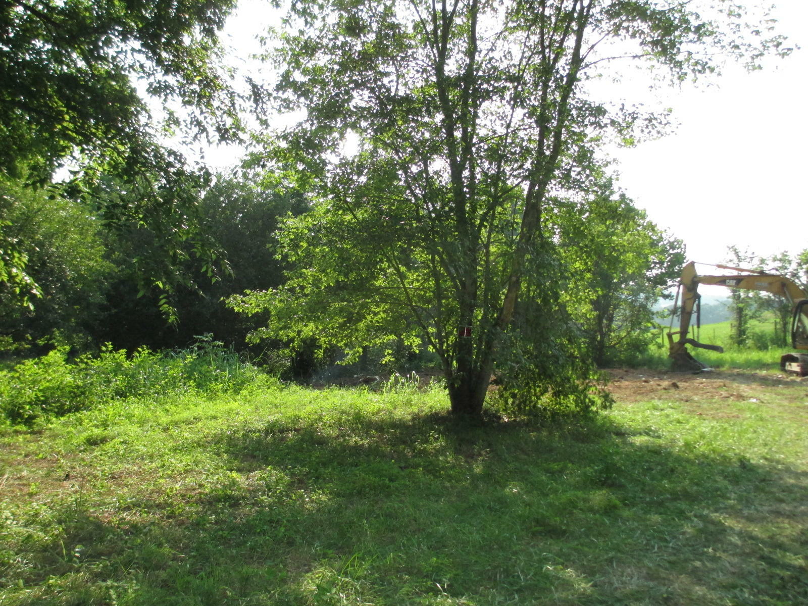 Property Photo:  00 Highway 11E  TN 37681 