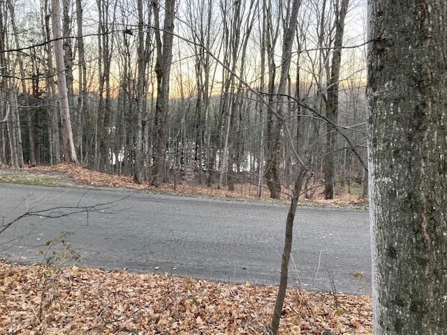 Property Photo:  Lot 21 Hlywa Drive  MI 49735 