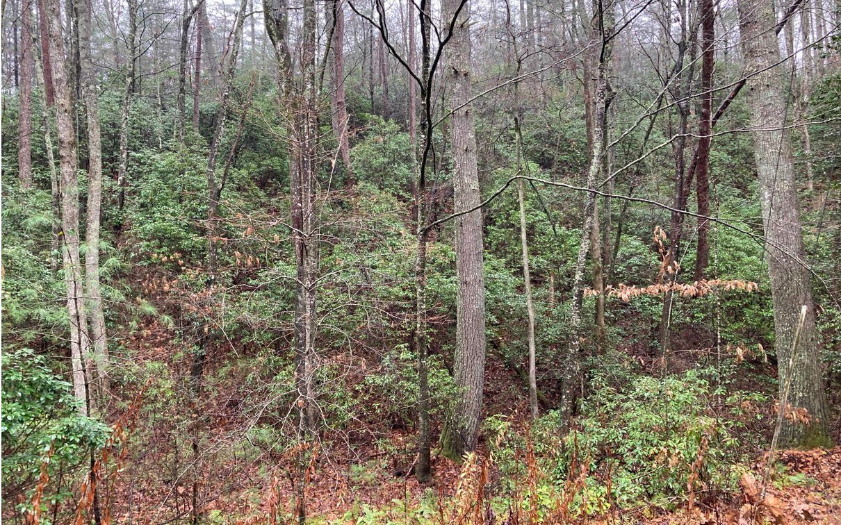 Property Photo:  2A Seneca Road  NC 28906 