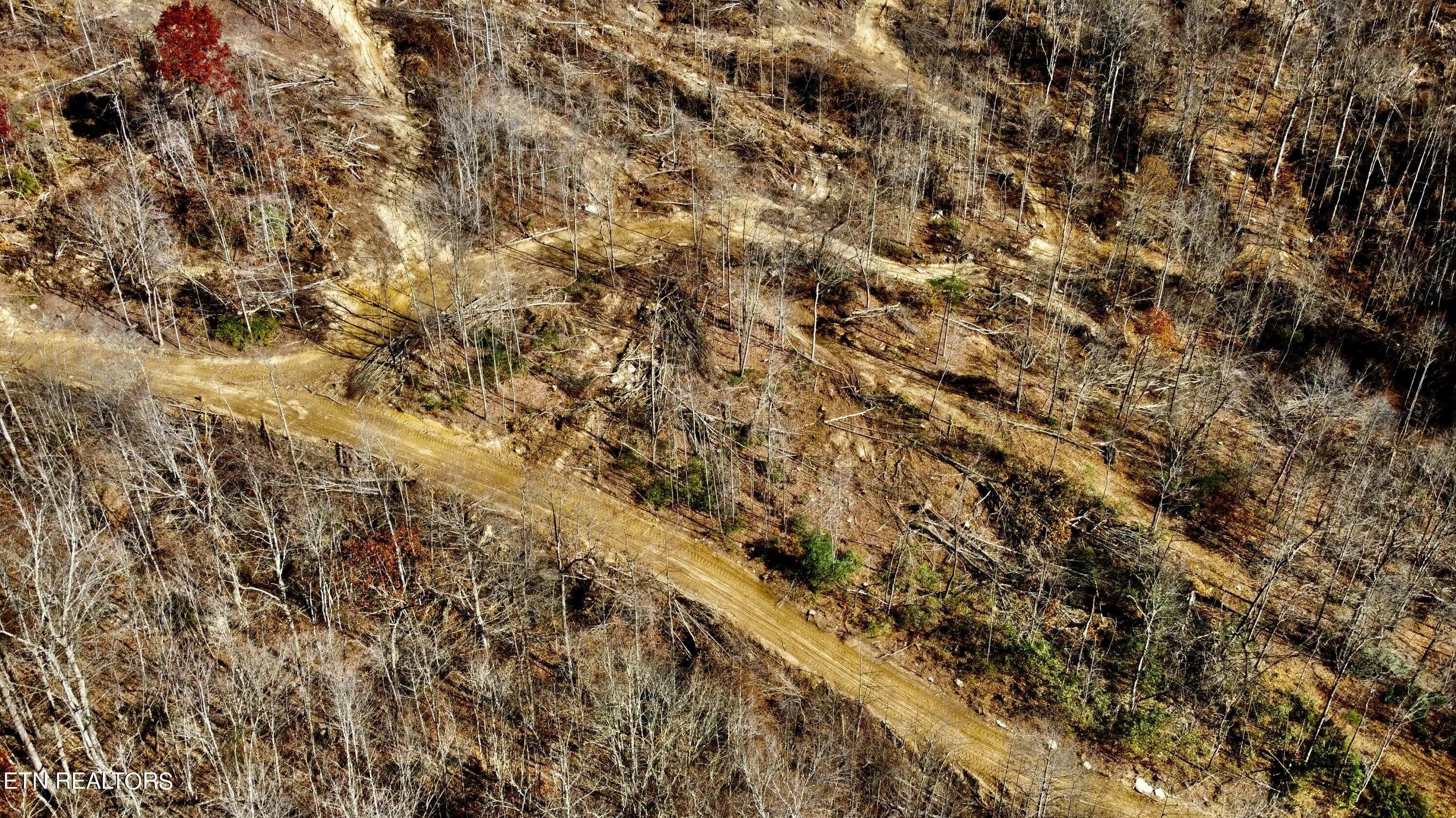 Lot # 14 Stanley Creek Rd  Oneida TN 37841 photo