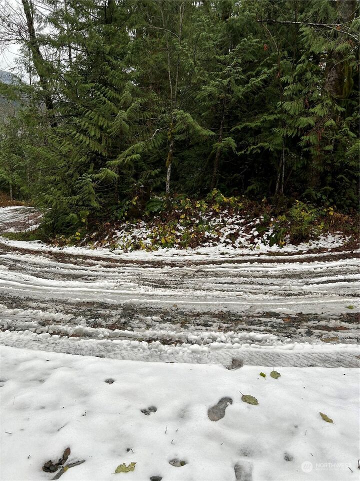 MLS2183825 0 Mount Index Drive, Index, WA 98256