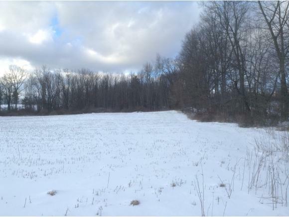 Property Photo:  0 Nelson Lot A  NY 14850 