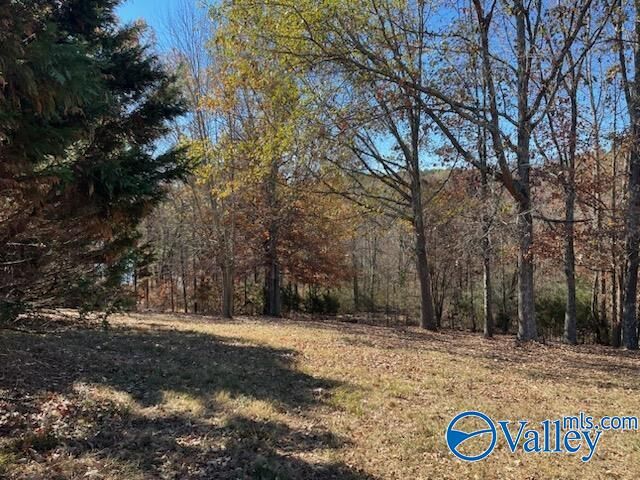 Property Photo:  11 First Creek Road  AL 35652 