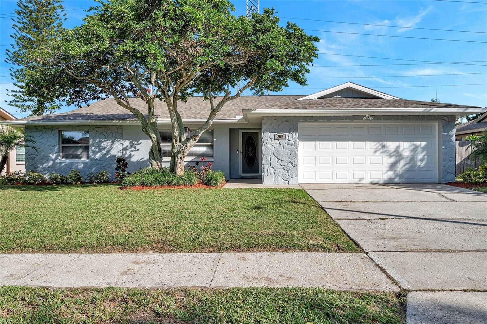Property Photo:  3369 Hunt Club Drive  FL 33761 