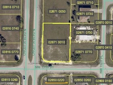 Property Photo:  1303 Chiquita Boulevard N  FL 33993 