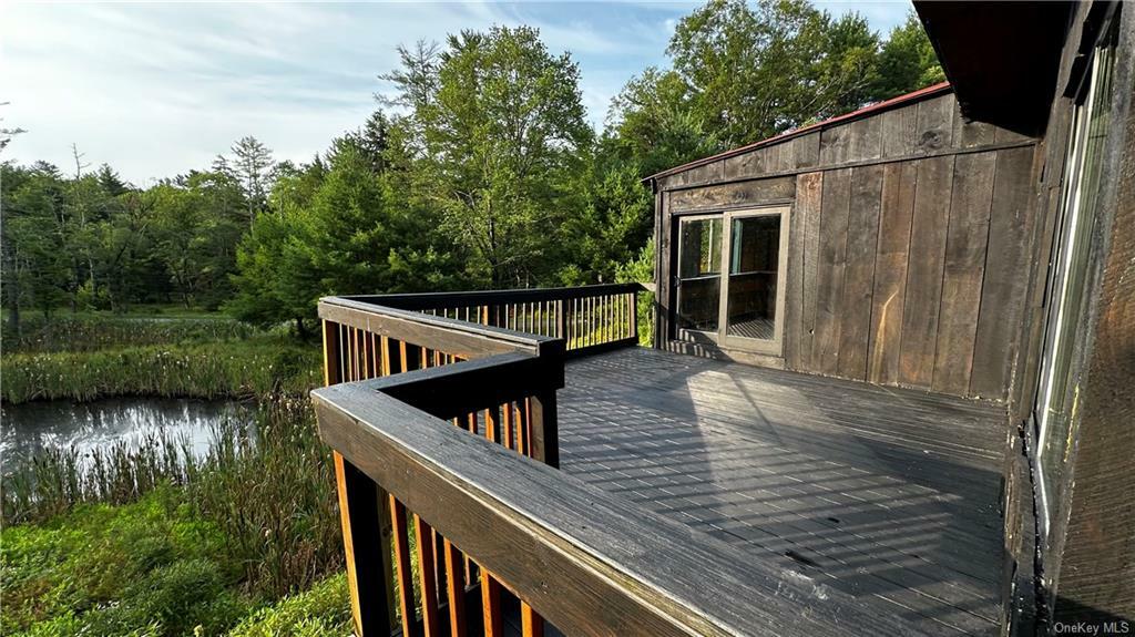 Property Photo:  281 Blind Pond Road  NY 12764 