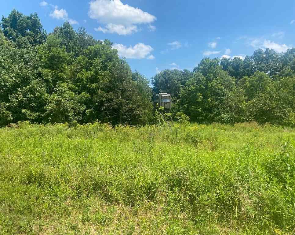 Property Photo:  Tract 11 Hamilton-Lee Road  KY 42256 