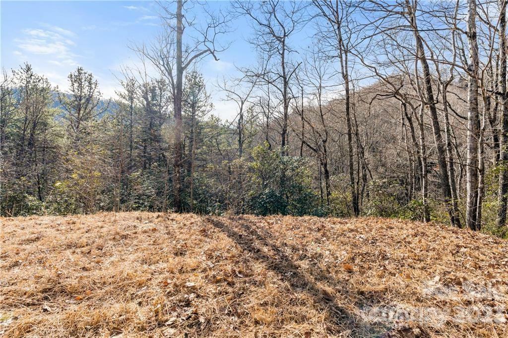 28 Trillium Lane C-1  Black Mountain NC 28711 photo