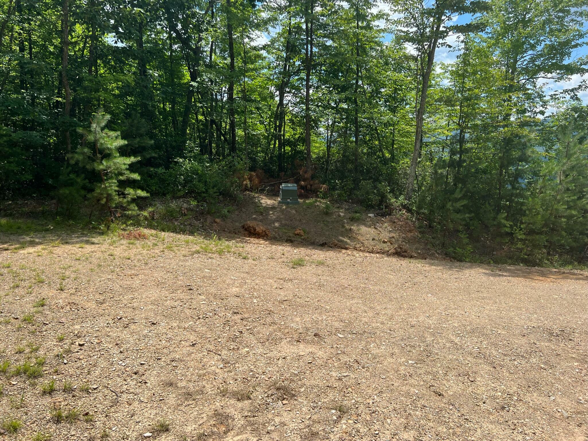 Property Photo:  Lot 43 - Waiteville Rd  WV 24984 