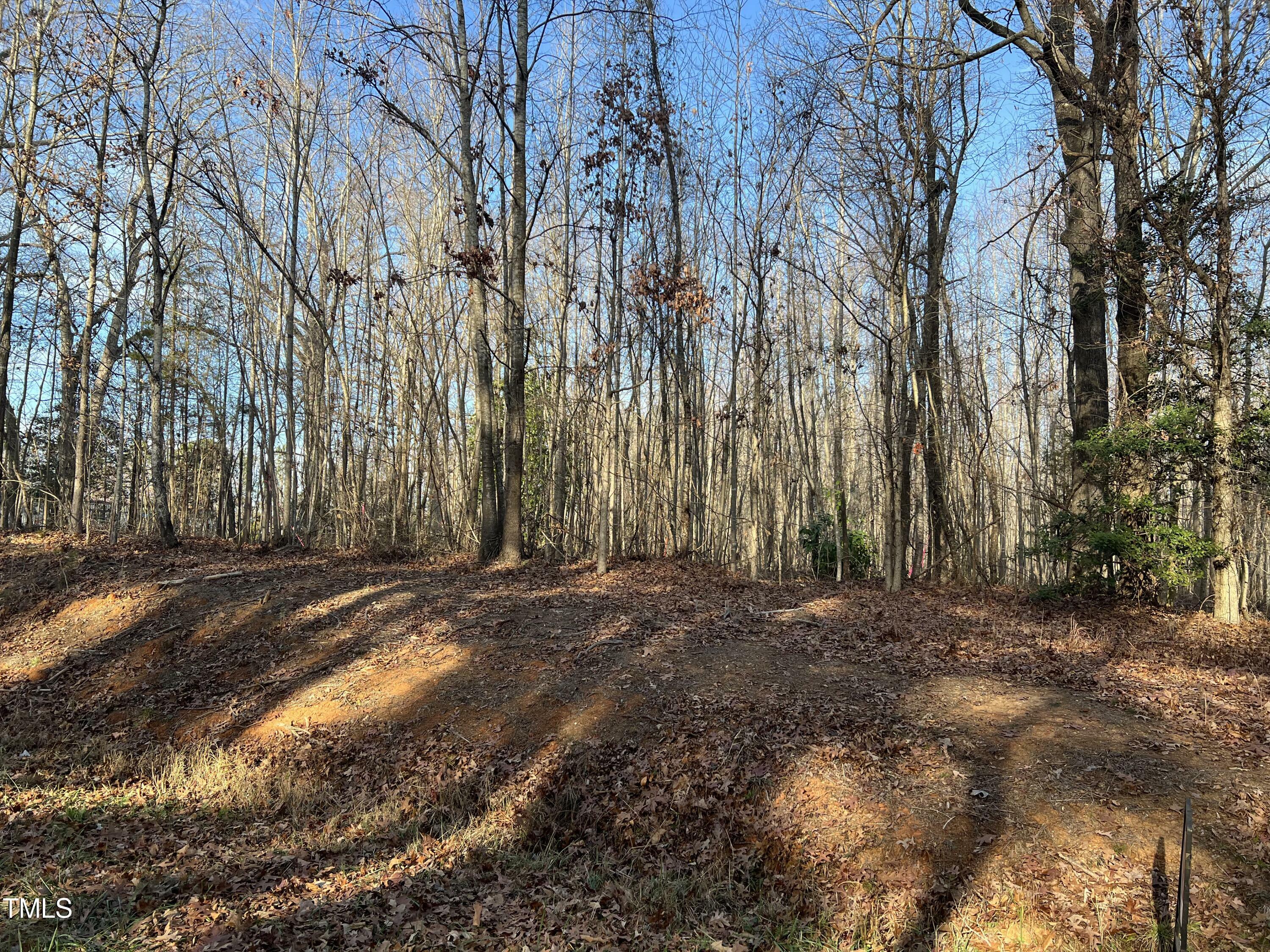 Property Photo:  184 Browers Mill Road  NC 27242 
