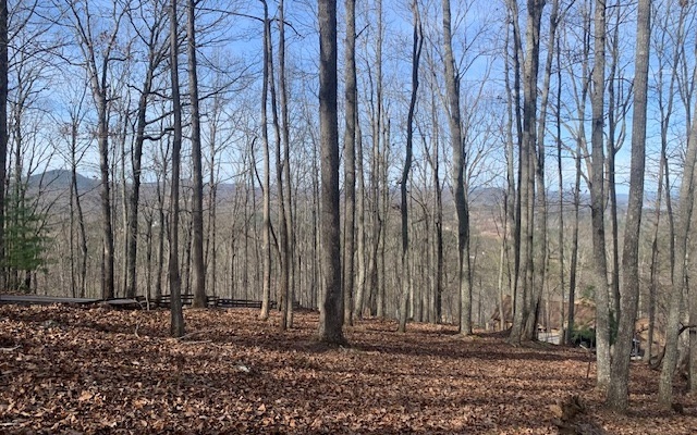 Lot7b Timber Bend  Blairsville GA 30512 photo