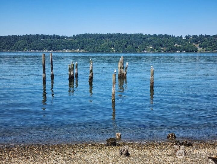 Property Photo:  14745 SW Spring Beach Road  WA 98070 