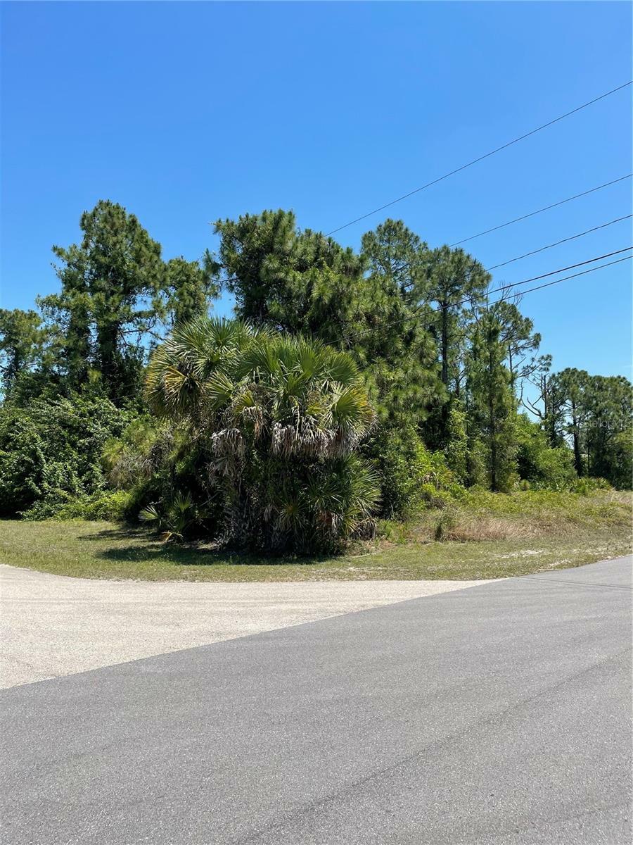 Property Photo:  530 Frank Jewett Avenue S  FL 33974 