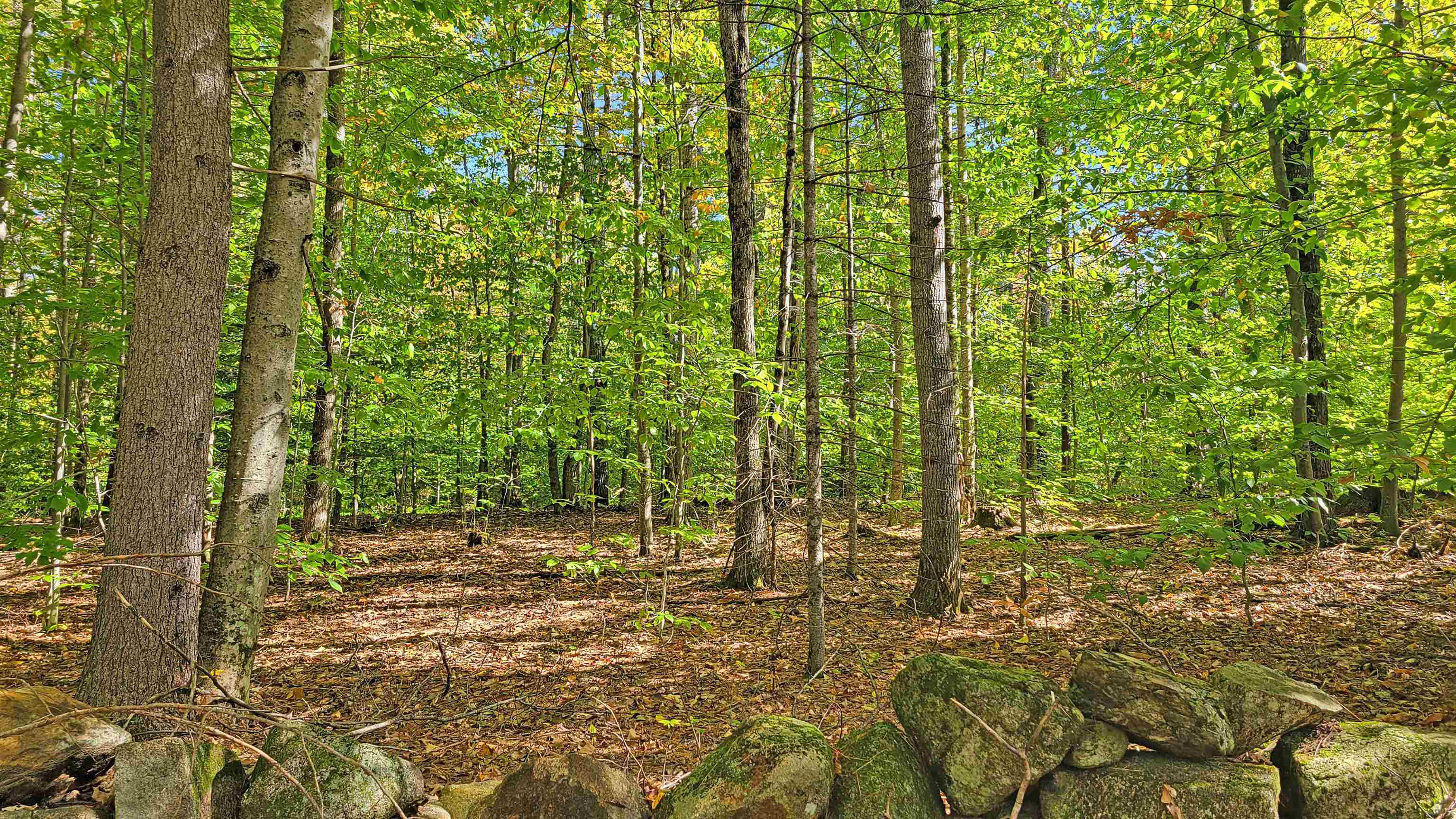 Property Photo: Lot 16 Frescoln Road NH 03282
