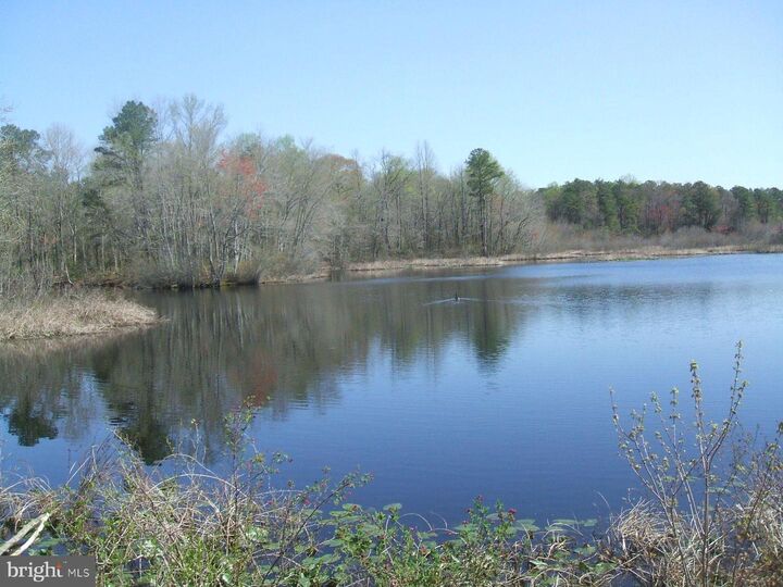 Property Photo:  0 Williams Mill Pond Road  MD 21875 