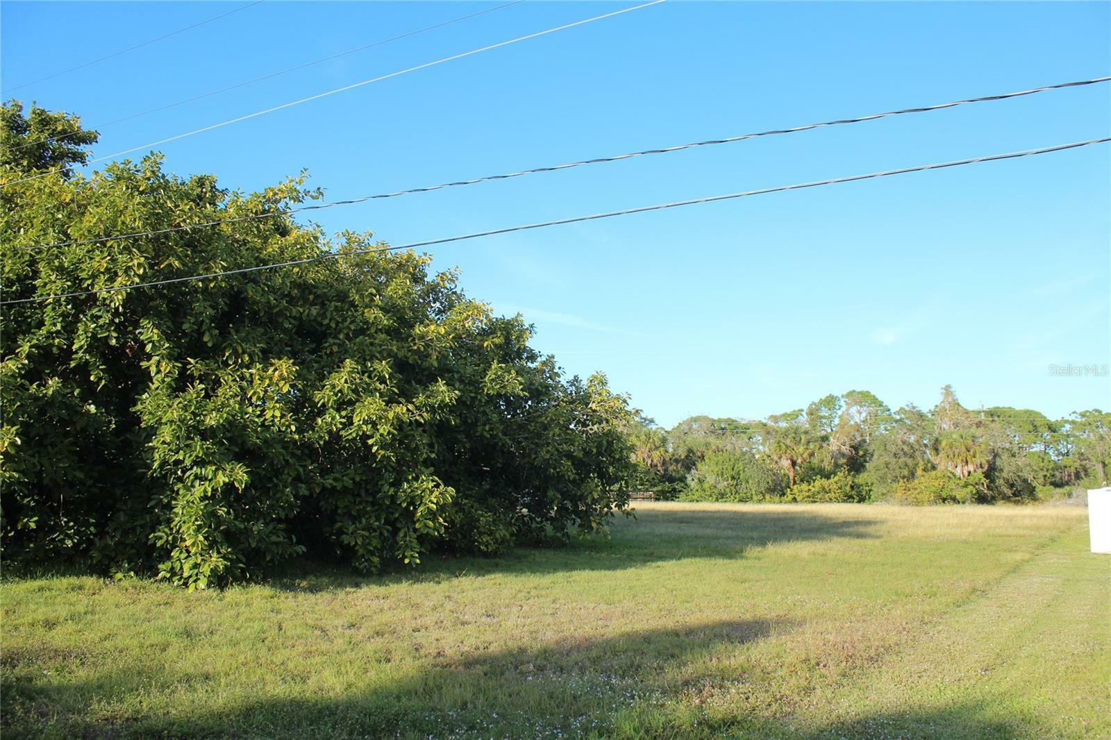 Property Photo:  390 Spaniards Road  FL 33946 