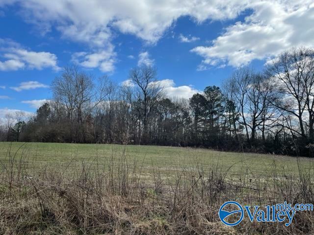 Property Photo:  26ac County Road 1592  AL 35019 