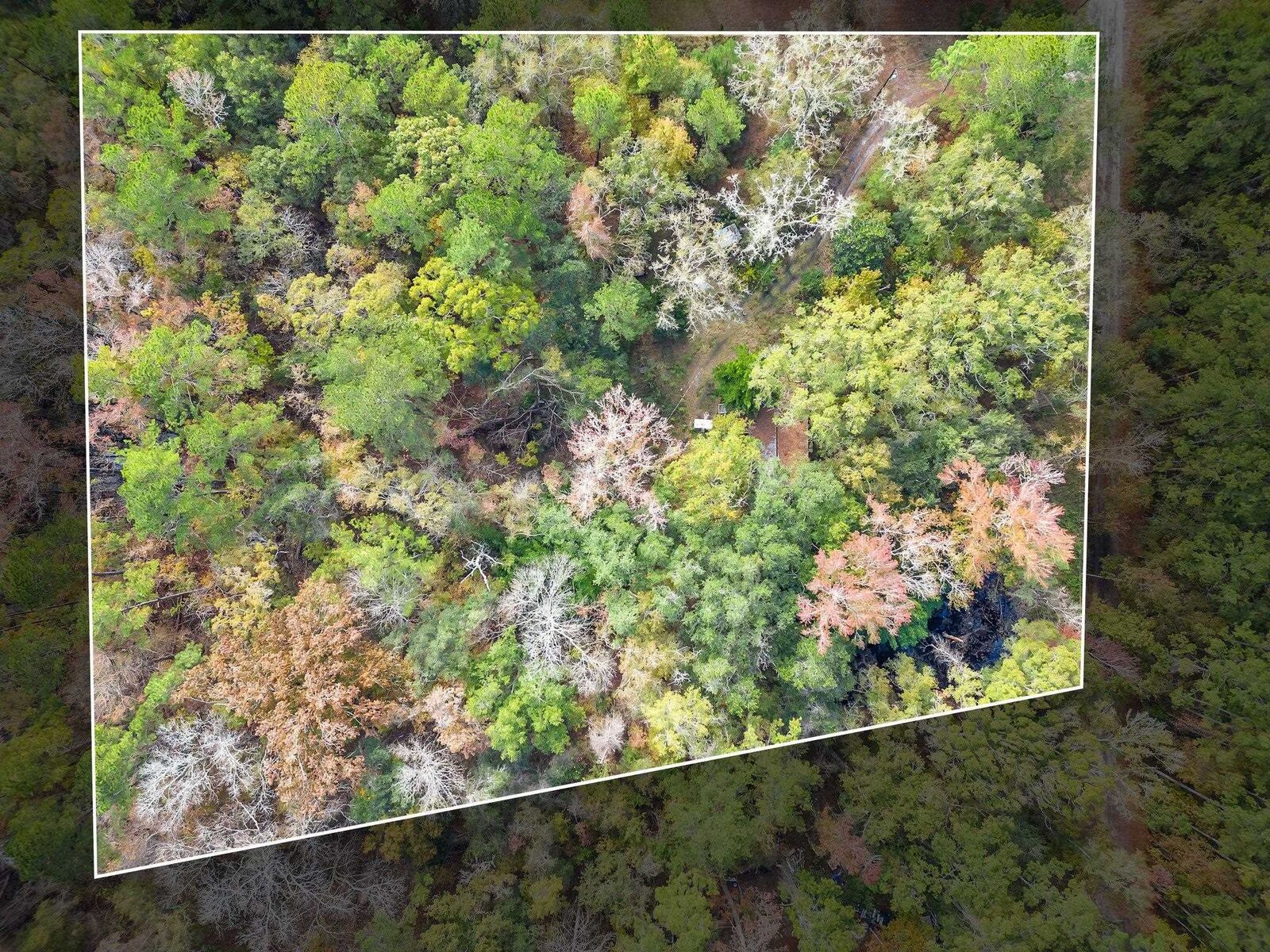 Property Photo: 11408 Regiment Loop FL 32305