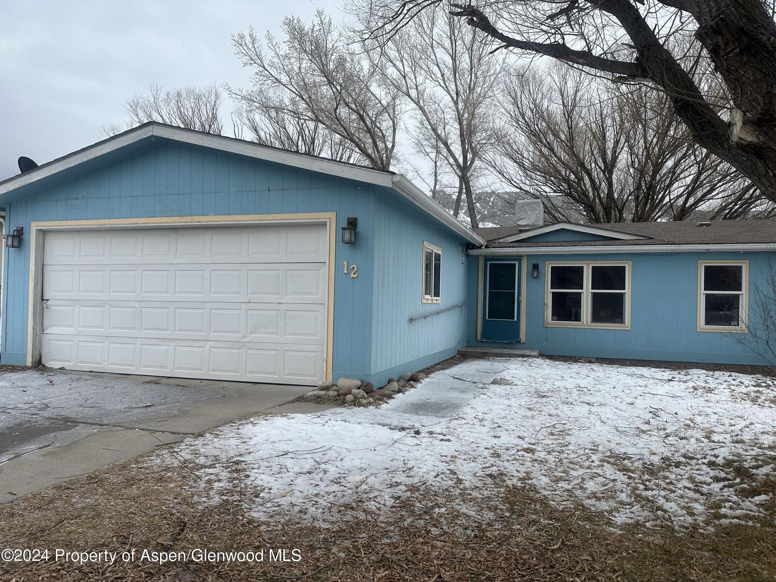 Property Photo:  12 E Tamarack Circle  CO 81635 