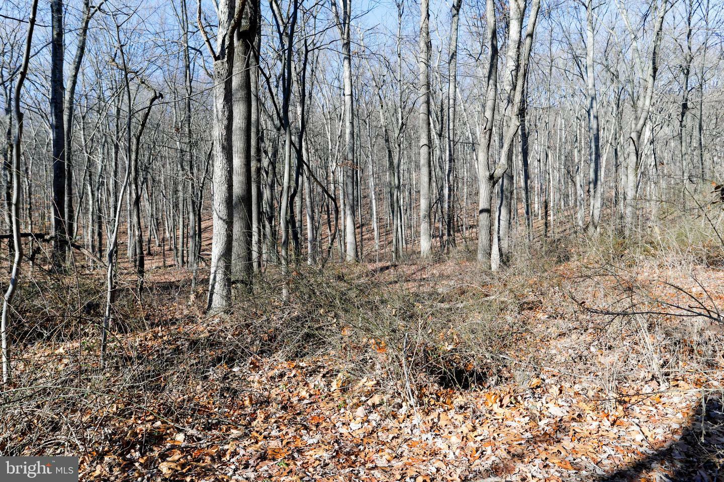 Property Photo:  Parcel 11 National Pike  MD 21722 