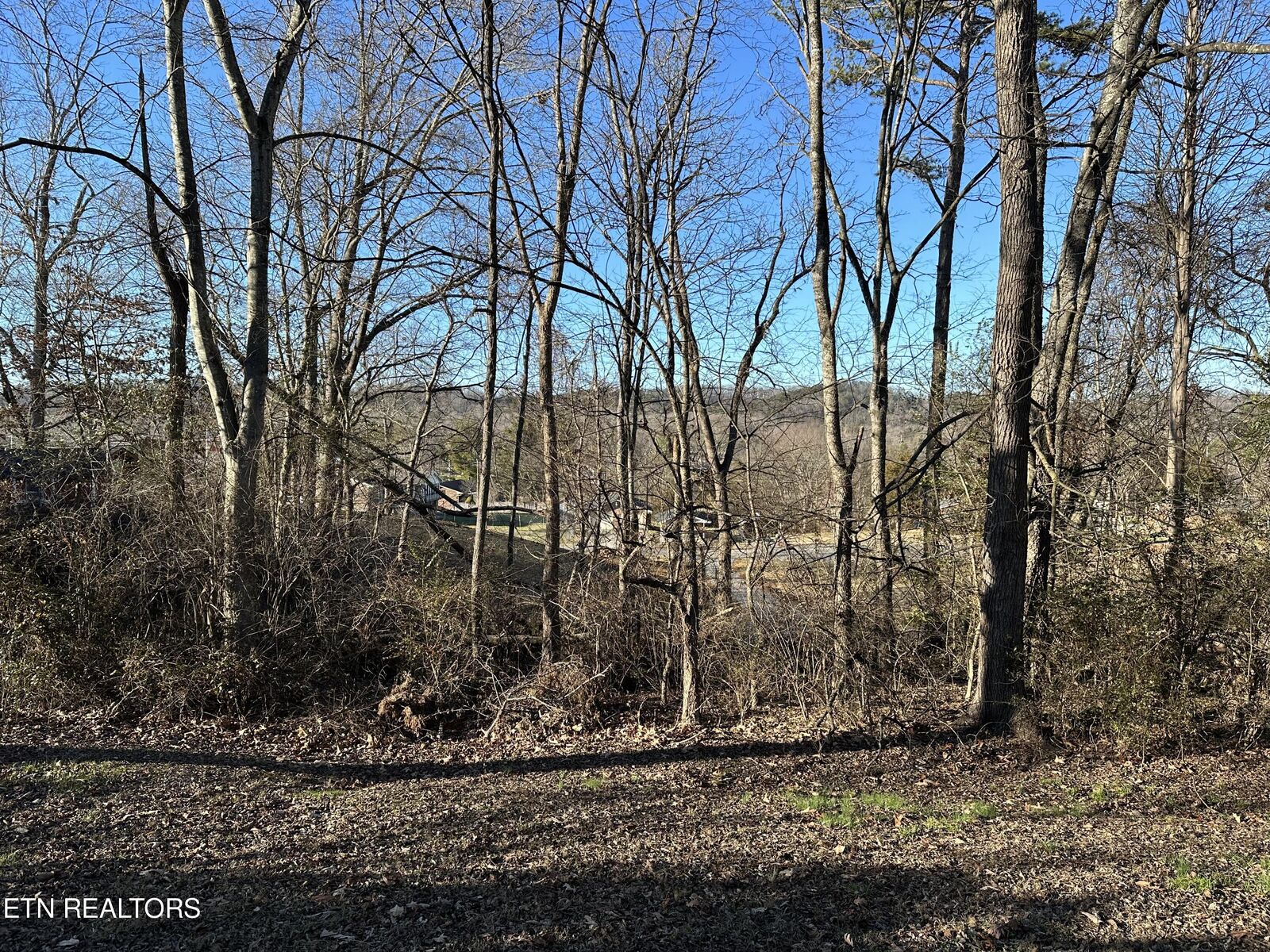 Property Photo: Cheyenne Trail Lot 17 TN 37865